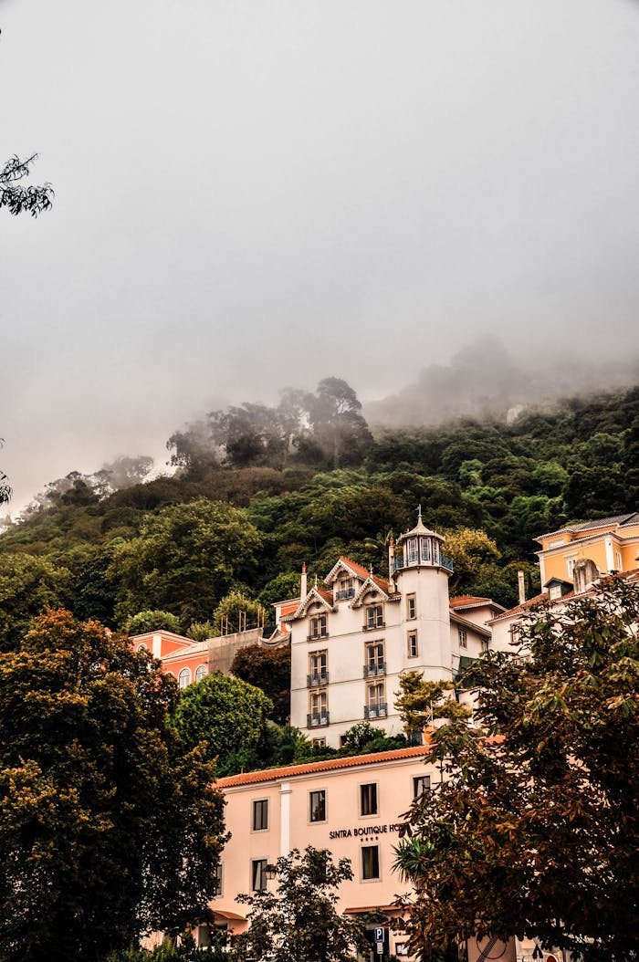 Picturesque buildings set against lush Sintra forest with mist.