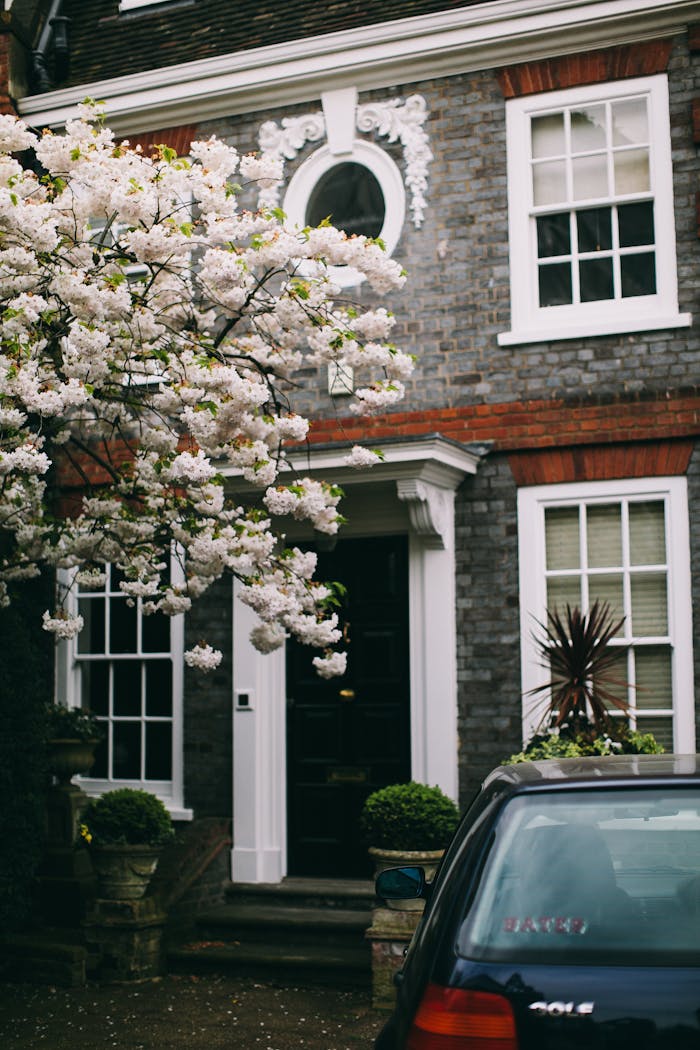 programs-04 Charming London townhouse facade with blooming tree and classic architectural details.