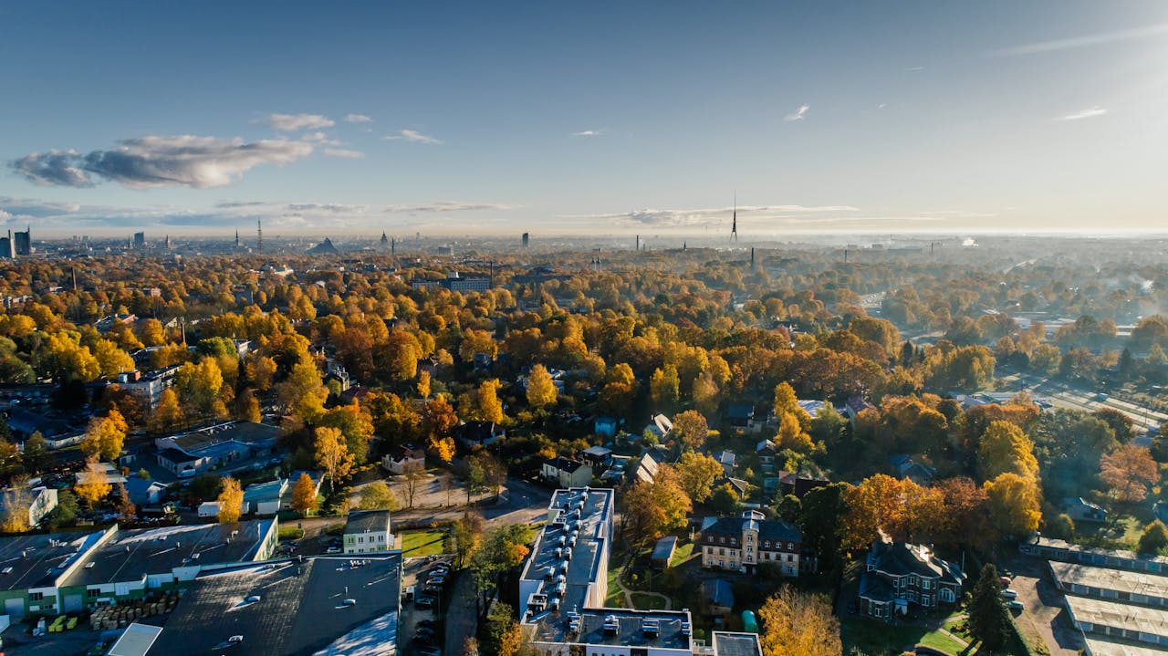extra-programs-img Breathtaking aerial view of a city in autumn, showcasing vibrant foliage and a distinctive tower in the skyline.